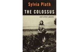 The Colossus: and Other Poems (Vintage International)