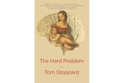 The Hard Problem: A Play