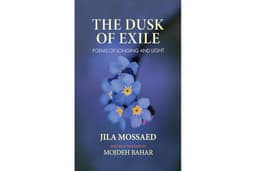 Dusk of Exile: Poems of Longing and Light