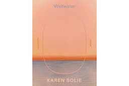 Wellwater: Poems (FSG Poetry)