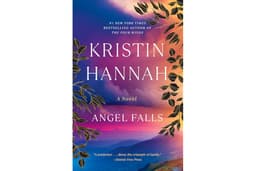 Angel Falls: A Novel