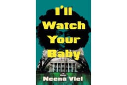 I'll Watch Your Baby: A Novel