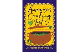 Amarisa's Cooking Pot: Tales of Life in All Its Wonders