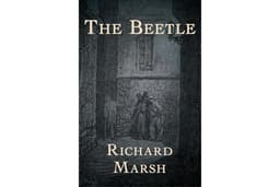 The Beetle (The Pieter Van In Mysteries)