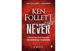 Never: A Novel