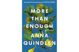 More Than Enough: A Novel