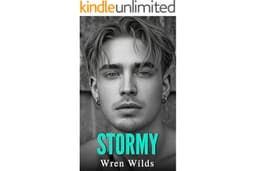 Stormy: An M/M Romance