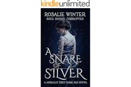 A Snare of Silver: Sold. Bound. Corrupted. A Morally Grey Dark Fae Novel (Artifacts of Ruin Book 1)