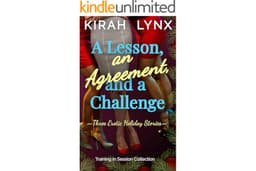 A Lesson, an Agreement, and A Challenge: Three Erotic Holiday Stories (Training in Session)